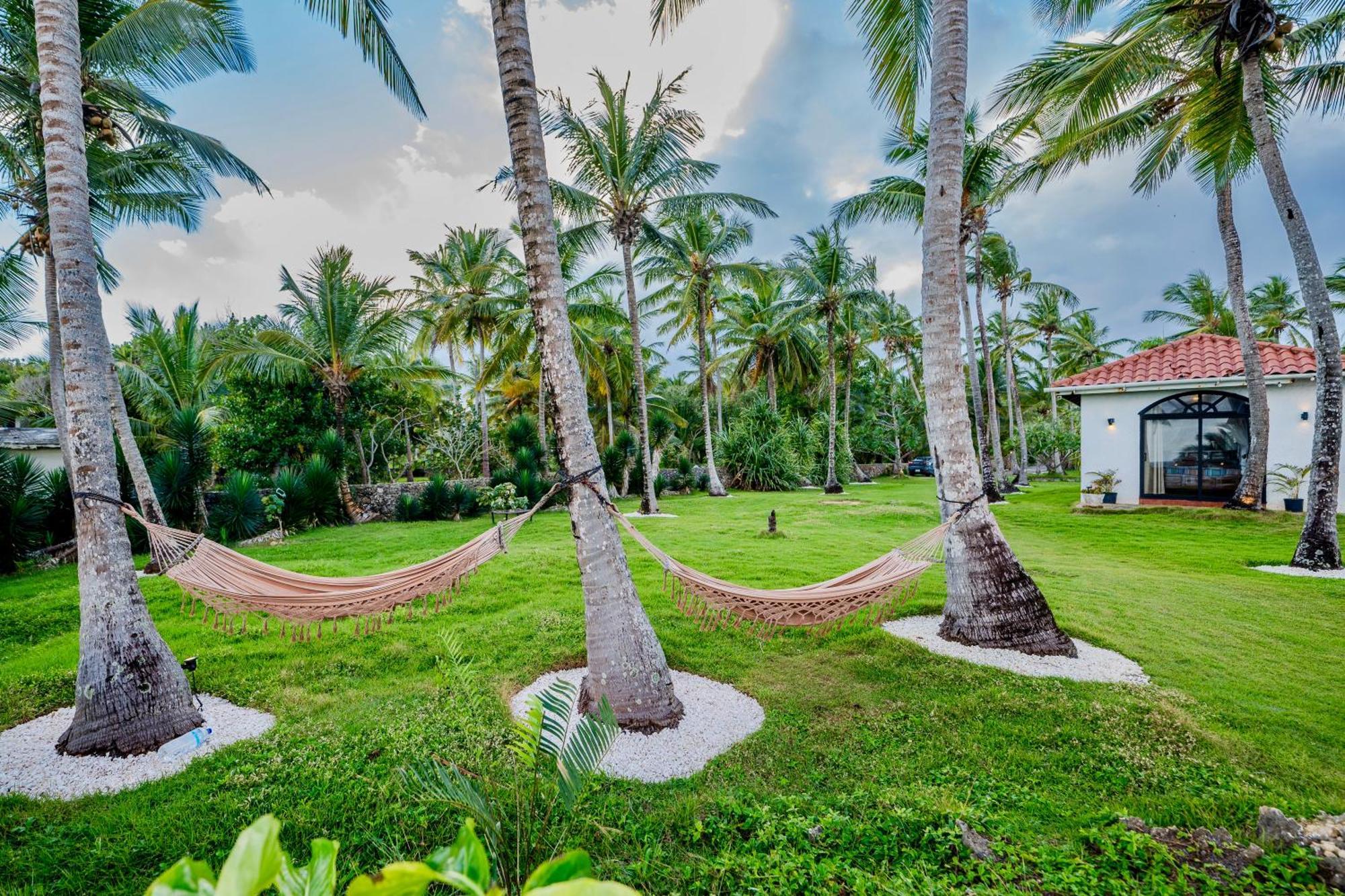 Palm House - Luxury Villa - Samana - Ocean Front Sanchez Exterior photo